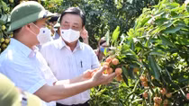 4 cơ quan cùng giúp tiêu thụ nông sản mùa dịch an toàn