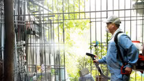 Cảnh giác với cán bộ dịch tễ "rởm" phun thuốc chống SXH thu tiền
