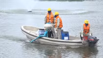 Hà Nội công bố thanh tra về chế phẩm làm sạch hồ Redoxy-3C