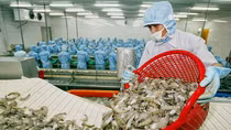 Nông sản xuất khẩu kiếm bộn tiền hai tháng đầu năm