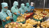 Xuất khẩu rau quả đạt trên 3,5 tỷ USD: Vẫn ì ạch xuất thô