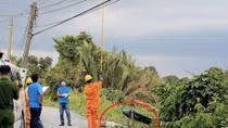 Đi câu cá bị điện giật tử vong
