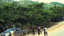 Lên cơn “ngáo đá”, dùng dao khống chế bắt cóc một phụ nữ làm con tin