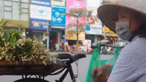 Hoa bưởi thôn quê đưa hương phố thị