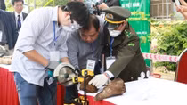 Nghiền nát, đốt thành tro 2 tấn ngà voi, sừng tê giác