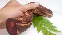 Tại sao cây gỗ sưa 'đắt hơn vàng'?