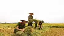 Lực lượng Công an chủ động ứng phó với bão Tembin