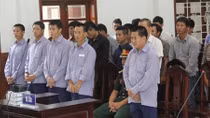 Xét xử Đồn phó Biên phòng "bắt tay" với lâm tặc phá rừng pơ mu