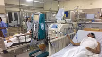 Một trong 3 người bị ngộ độc nấm trong tình trạng nguy kịch