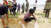 Tái diễn mưu đồ chống phá của các thế lực lợi dụng sự cố môi trường biển