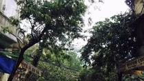 Hà Nội tan hoang sau cơn bão số 1