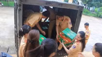 Sắc áo vàng nơi vùng đất lũ