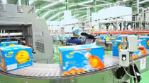 Công bố Top 500 doanh nghiệp tăng trưởng nhanh nhất Việt Nam