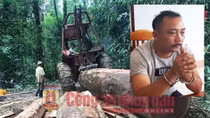 Vén màn bí mật về hoạt động buôn lậu gỗ của ông trùm Phượng "râu"