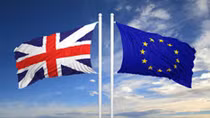 Brexit: Nỗi sợ hãi của công chúng và toan tính riêng của chính trị gia 