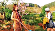Sau khi bị "truy" trách nhiệm, nữ PGĐ Sở “cầm hoa” có bị xử phạt hành chính?
