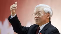 Củi tươi cũng cháy