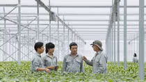 Vingroup liên kết với 1.000 HTX và hộ nông dân cung ứng nông sản sạch