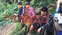 Hai Thiếu tá Công an kể chuyện "khoanh vùng" và cảm hóa kẻ gây thảm án ở Lào Cai