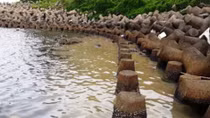 Xử lý sự cố dầu loang do tàu chìm ở đảo Cồn Cỏ