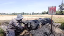 Dân rà phá liệu tìm thấy quả bom cực "khủng"