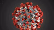 Có ít nhất 30 biến thể của virus SARS-CoV-2 