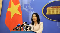 Việt Nam sẵn sàng phối hợp với EC để phòng chống khai thác hải sản bất hợp pháp