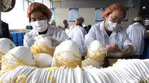 Trung Quốc lên tiếng về lô khẩu trang kém chất lượng gửi cho Hà Lan