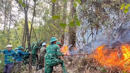 Liên tiếp xảy ra các vụ cháy rừng do thời tiết nắng nóng