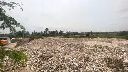 Khởi tố chủ cơ sở sản xuất đổ hơn 324 tấn vỏ hàu ra môi trường