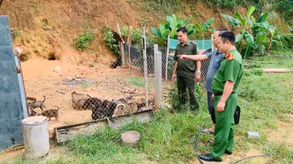 Công an xã Bình Yên giúp người chấp hành xong án phạt tù làm kinh tế giỏi
