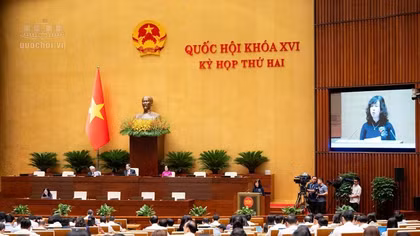 Đề nghị đánh giá kỹ việc mở rộng quyền hiến mô, bộ phận cơ thể đối với trẻ em