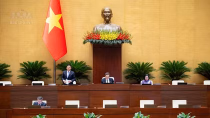 Sửa Luật An toàn thực phẩm, cần làm rõ "một cơ quan chịu trách nhiệm đến cùng"