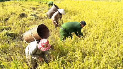 Công an xã miền núi ở Huế lan tỏa “Ba nhất” từ những việc làm bình dị