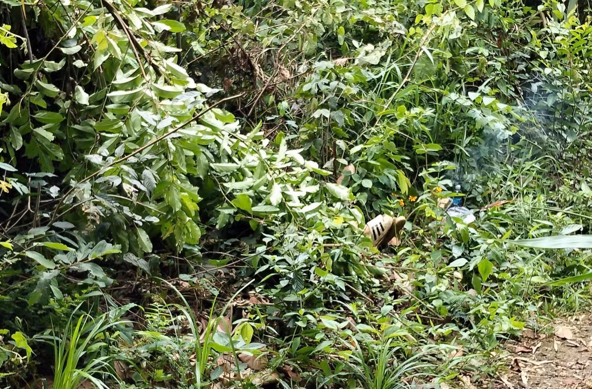 dien-giat.jpg