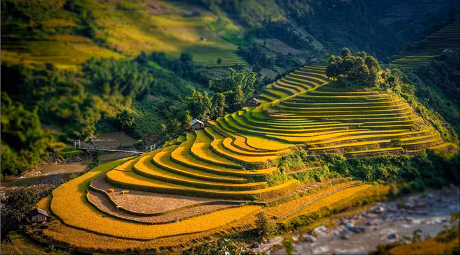 Startup Việt giành ngôi vị Á quân trong cuộc thi khởi nghiệp du lịch của khu vực. Startup Việt giành ngôi vị Á quân trong cuộc thi khởi nghiệp du lịch của khu vực.