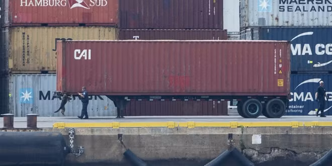 Chó nghiệp vụ được huy động tìm ma túy trong các thùng container ở cảng Philadelphia. Ảnh: NBC