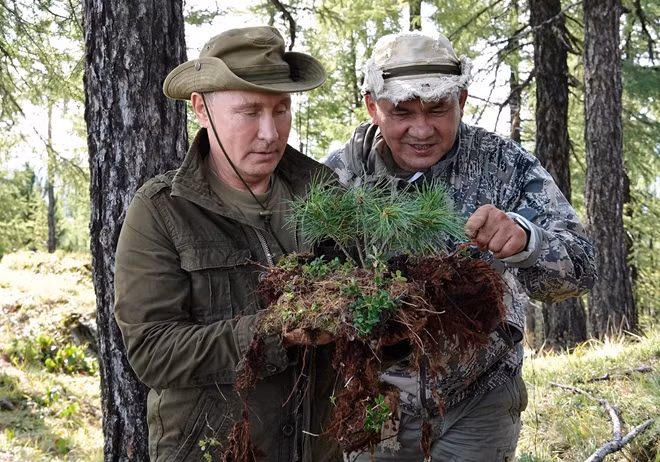 Tổng thống Putin tới đây cùng Bộ trưởng Quốc phòng Sergei Shoigu, Giám đốc Cơ quan an ninh liên bang Aleksander Bortnikov. Trong ảnh là ông Putin cùng ông Shoigu cùng đánh giá một loại thảo mộc ở giữa núi rừng Siberia.