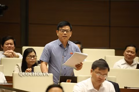Đại biểu Nguyễn Thanh Hồng phát biểu.