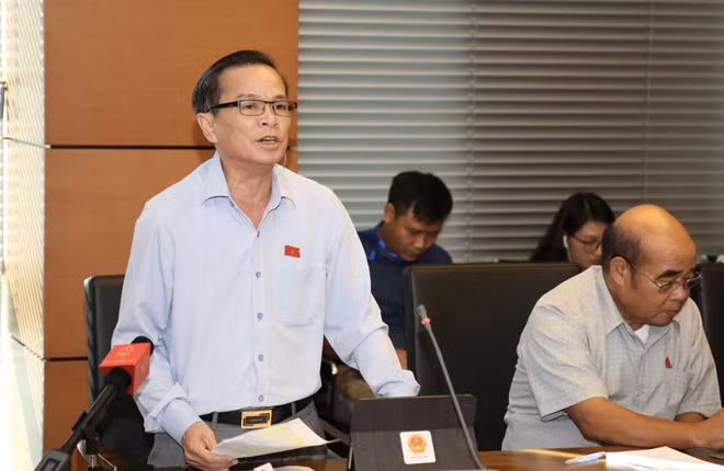 Đại biểu Võ Đình Tín phát biểu chiều 29-10.