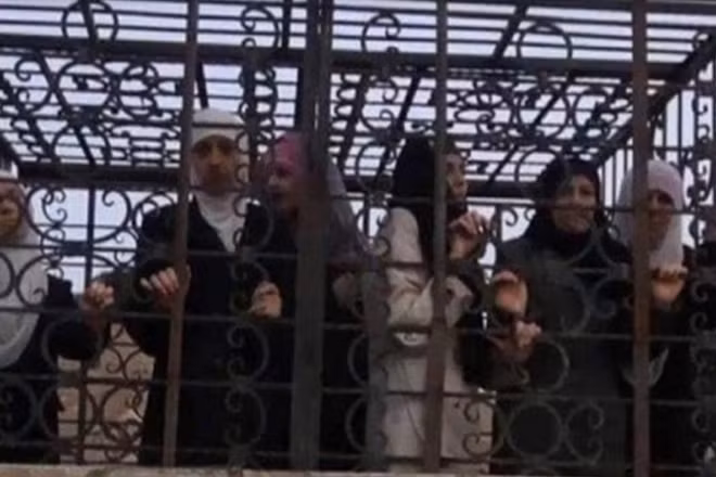 Những tù nhân bị Jaysh al-Islam giam giữ trong lồng sắt. Ảnh: AMN