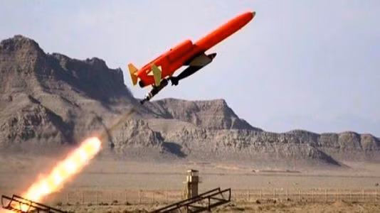 Một chiếc UAV có khả năng mang bom của Iran. Ảnh: PressTV
