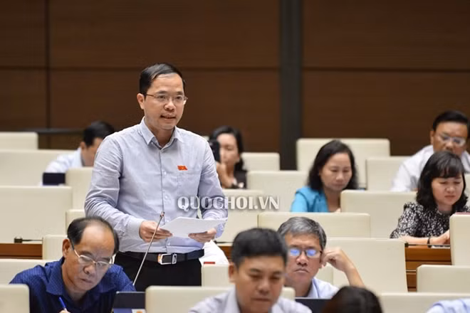 Đại biểu Đinh Công Sỹ phát biểu tại phiên thảo luận.