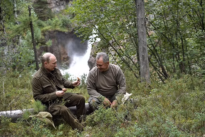 Hai nhà lãnh đạo Nga hái nấm tại một khu rừng ở Tuva. Siberia là một vùng lãnh thổ đặc biệt của nước Nga, đây là nơi sinh sôi, nảy nở của hàng trăm ngàn loại thảo mộc, thú vật hoang dã và độc đáo.