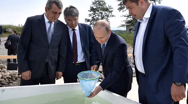 Một ngày sau đó, Tổng thống Putin đã tới thăm bang Irkutsk và hồ Baikal, tại đây, nhà lãnh đạo Nga đã thả hàng trăm con cá Omul nhỏ về hồ Baikal. Cá Omul là món quà thiên nhiên ban tặng riêng cho hồ Baikal. Một ngày sau đó, Tổng thống Putin đã tới thăm bang Irkutsk và hồ Baikal, tại đây, nhà lãnh đạo Nga đã thả hàng trăm con cá Omul nhỏ về hồ Baikal. Cá Omul là món quà thiên nhiên ban tặng riêng cho hồ Baikal.