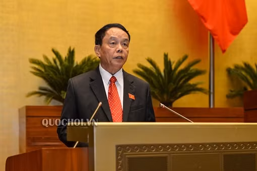 Quốc hội thảo luận đối tượng tạm hoãn dân quân tự vệ