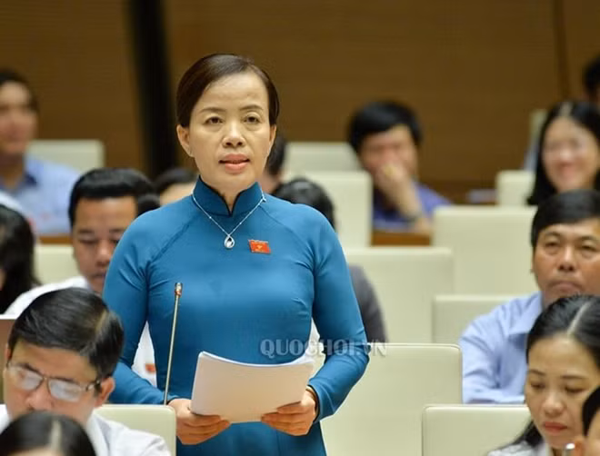 Đại biểu Quốc hội Nguyễn Thị Kim Thuý.