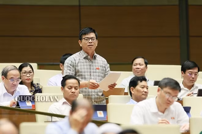 Đại biểu Nguyễn Thanh Hồng đoàn Bình Dương phát biểu.