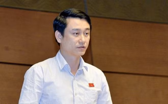 Đại biểu Lê Tuấn Anh phát biểu trước Quốc hội.