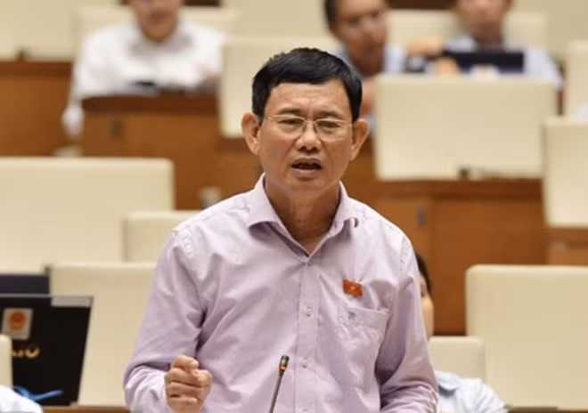 Đại biểu Nguyễn Ngọc Phương.